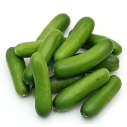 خيار علبة صغيرة
