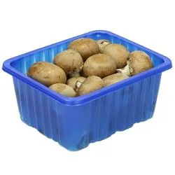 فطر كستنائي