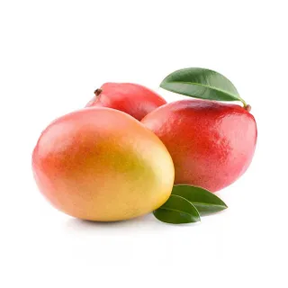 Keitt Mango Egypt