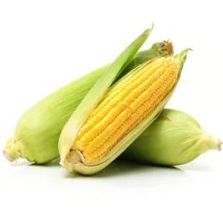 ذرة حلوة الكويت