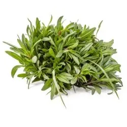 Lama Herbs Thyme Wild green (Zoubai) Mini Box