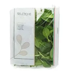 Baby Spinach Italy