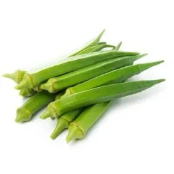 أصابع العذراء الهند