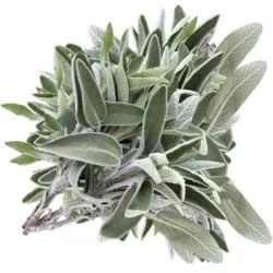 Herbs Myramiah Lebanon