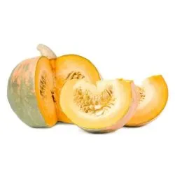 قرع عمانى