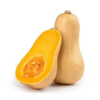 Earth Butternut Pumpkin