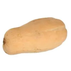 Earth Butternut Pumpkin