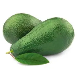 Avocado Kenya