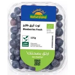 Natureland Organic Blueberries Punnet