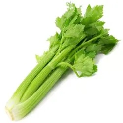 أرض الطبيعة كرفس