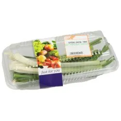 Spring Onion