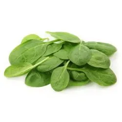 Fino Fresco Insalata Italiana Spinach