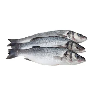 Seabass Whole Fish Turkey