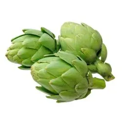 خرشوف هولندا