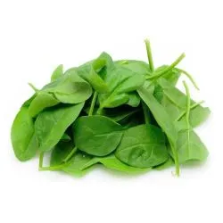 Natureland Baby Spinach