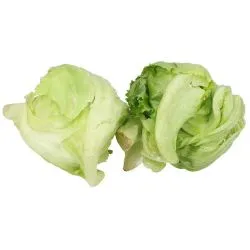 Earth Organic Lettuce Iceberg