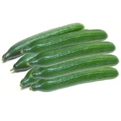 Cucumber Holland