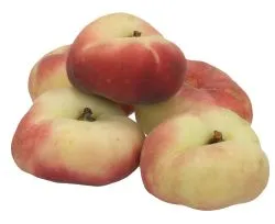 خوخ دائري أستراليا