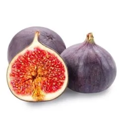 Figs Jordan Medium Falin