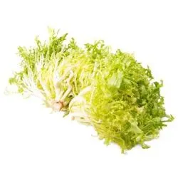 Lettuce Frisee Yellow (Pack)