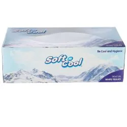 Soft N Cool Facial Tissue 200 Sheets