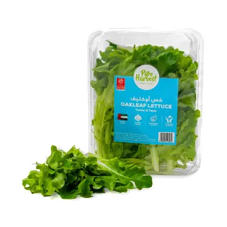 Pure Harvest Oakleaf Lettuce