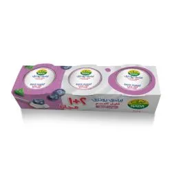 Nada Greek Yoghurt Blueberry