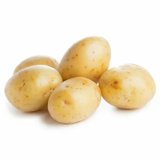بطاطا أغريا