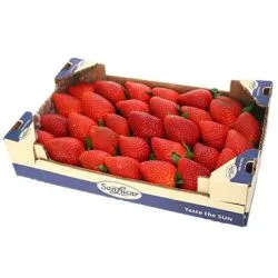 سانلوكار فراولة تونس (Box)