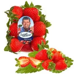 Sanlucar Strawberries Tunisia