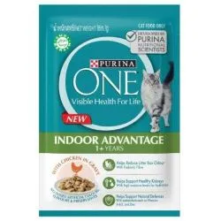 One Adult Indoor Chicken