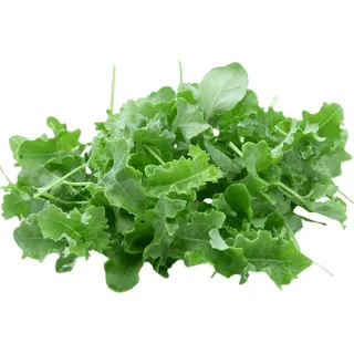 Baby Kale Kuwait