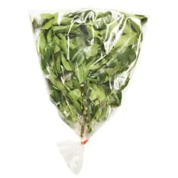 Curry Leaf