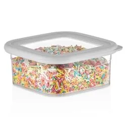 Elegant Organizer Transparent Storage Box