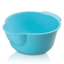 Rice Bowl