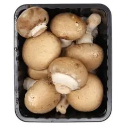 فطر بني (باك)