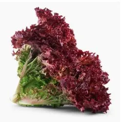 La Farm Lettuce Lollo Rossa - Red