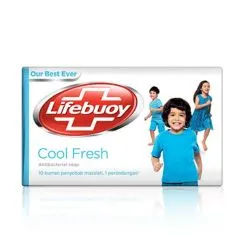 Lifebuoy Icy Cool Fresh Bar Soap