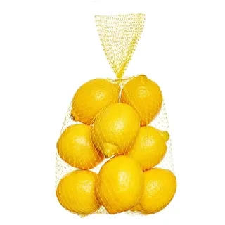 Lemon Egypt Mesh Bag