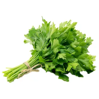 Parsley Bunch Kuwait