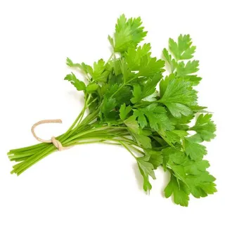 Coriander Bunch Kuwait