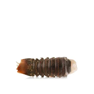 Defrosted Lobster Tail Oman Per KG