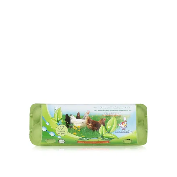 Al Jazira Eco & Vegetarian Fed Eggs x 12
