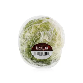 Iceberg Lettuce Spain