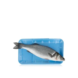 Large Sea Bass Türkiye