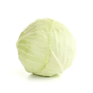 White Cabbage Holland