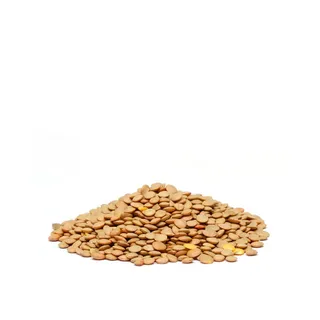 Green Lentils Kg