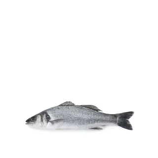 Organic Whole Sea Bass Greece