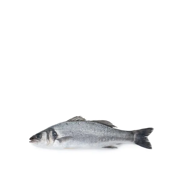 Organic Whole Sea Bass Greece
