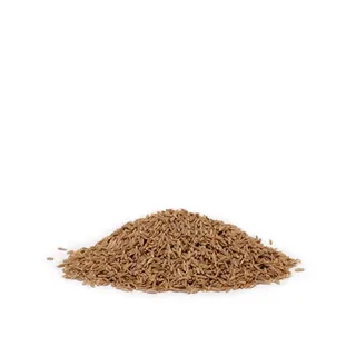 كمون كامل بالكيلوغرام
